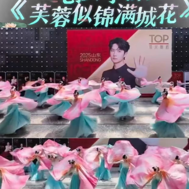 芙蓉似锦满城花女子群舞表演服