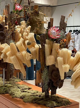 秋季天然丝瓜络干花树皮装饰极简自然系商场门店橱窗落地美陈道具