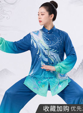 追风英雄高端表演太极服女新款太极拳练功服男团体武术演出中国风