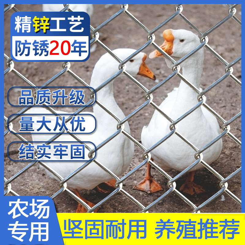 养鸡围栏拦鸡养殖围栏钢丝网防护