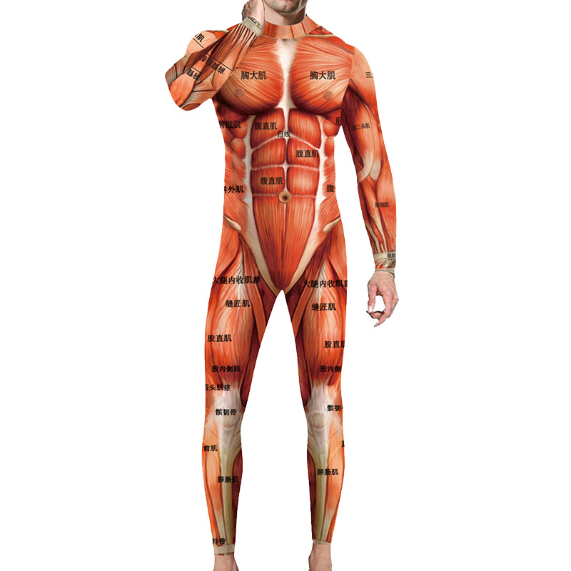人体肌肉名称连体衣骨骼衣服器官内脏经络肌肉衣卫衣连身衣紧身衣