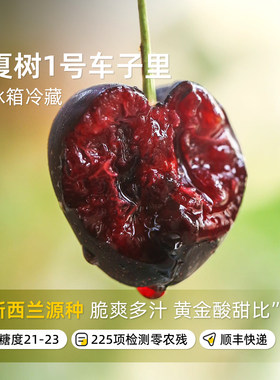 夏树1号车厘子领券-20元！