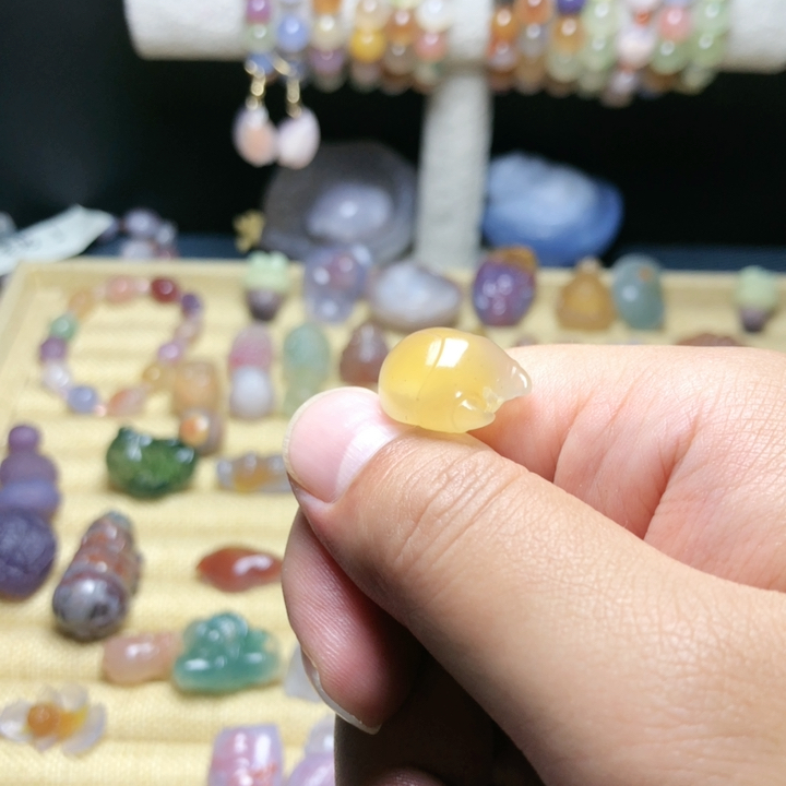 沙包甲虫