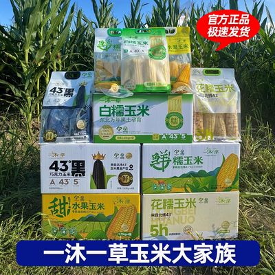 一沐一草鲜糯玉米黑土地种植袋包装1.85公斤新鲜软黏香甜加热即食