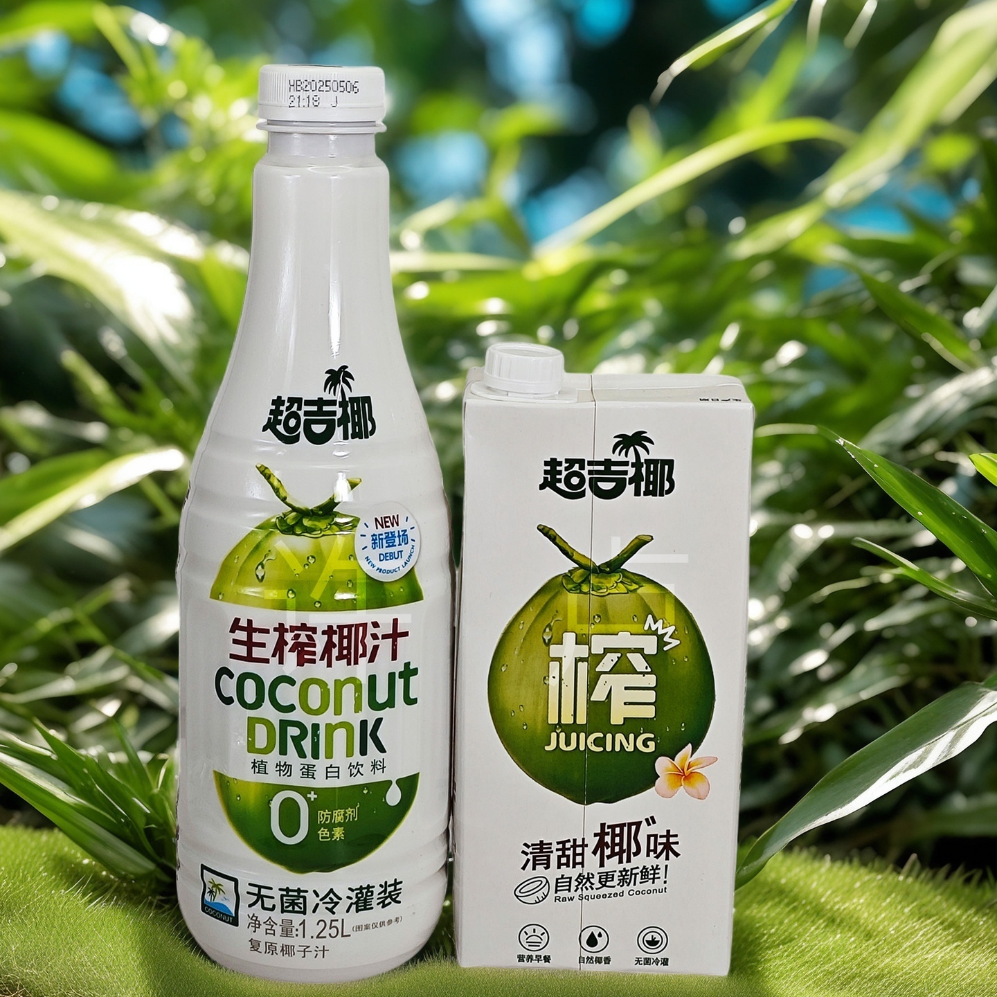 2瓶超吉椰生榨椰汁植物蛋白饮品