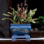 包邮 四方紫砂花盆特价 清仓 君子兰兰花花盆陶瓷树栽景盆法师多肉盆