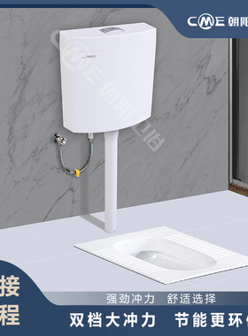 包邮朝阳卫浴双按挂墙式水箱大流量节水静音厕所蹲便器冲水箱T210