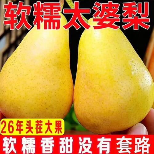 甘肃特产高山高海拔太婆梨香蕉梨大头梨线梨软糯香甜送礼佳品