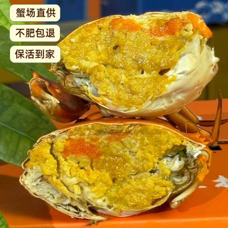 鲜活二级黄油蟹特大膏油蟹油膏爆满野生海鲜青蟹顺丰包活海鲜礼盒