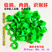 肉信鸽足环用具鸽子脚环用品记号识别环订做私环大全自动天落鸽笼
