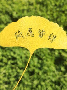 银杏叶刻字定制diy书签摆台