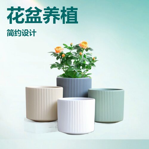 陶瓷花盆亚光北欧简约大号带托盘