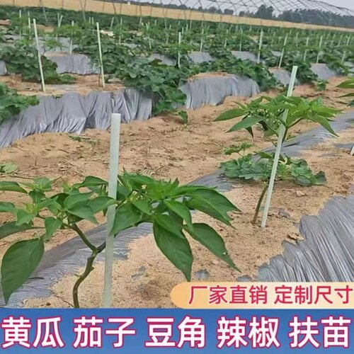 玻璃纤维辣椒苗定直支撑杆黄瓜豆角茄子苗防倒伏支架西红柿种植架