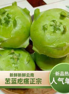 云南省农家自种新鲜苤蓝大头菜芥菜头疙瘩扑溜克撇了现摘现发包邮