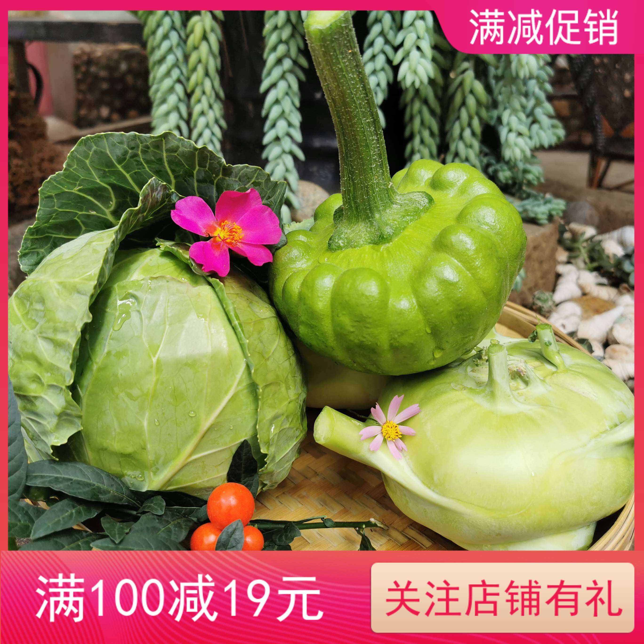 云南玉溪市新鲜组合五斤装混搭食用蔬菜苤蓝＋姜柄瓜＋卷心菜包邮