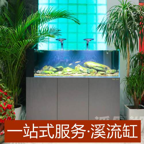 溪里湖鱼金晶五线超透溪流缸