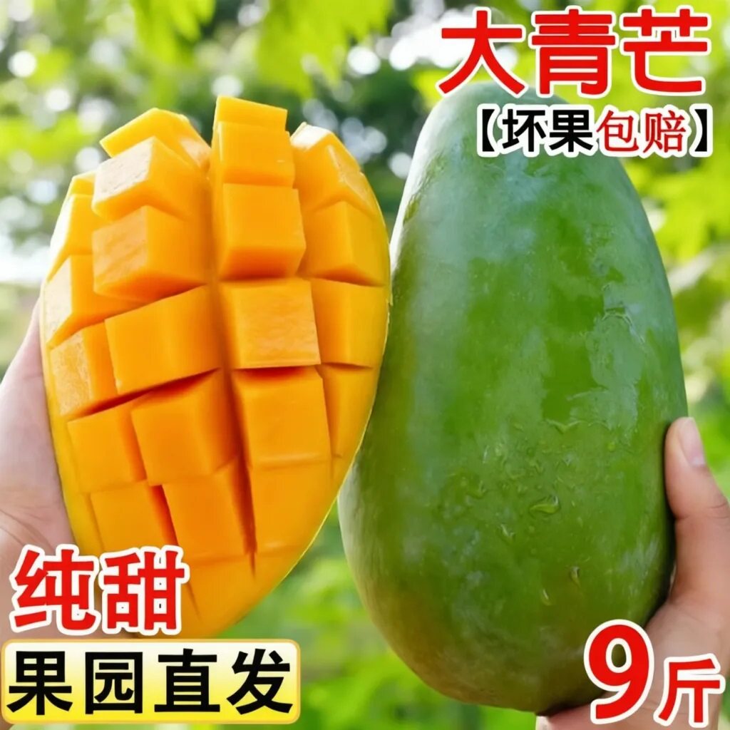 正宗大青芒果9斤热带大果核薄果园直发纯甜新鲜当季水果包邮整箱