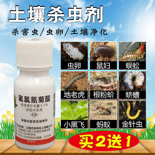 盆栽花卉杀虫剂素材模板 盆栽花卉杀虫剂图片下载 小麦优选