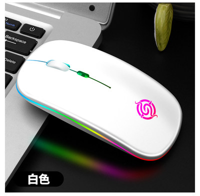 공장 공급이 양호하고 새로운 VIPER BM110 무선 충전 마우스 조용한 RGB 조명 간단하고 편안합니다