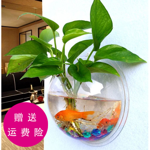 亚克力壁挂鱼缸价格 亚克力壁挂鱼缸图片 星期三