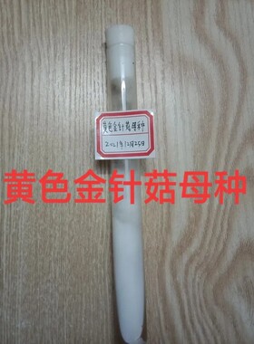 黄色金针菇母种黄色金针菇一级试管母种金针菇菌种