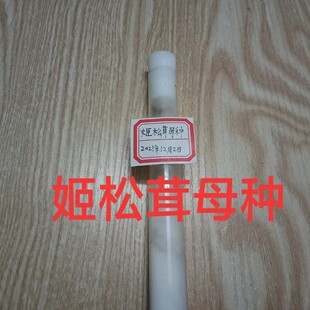 姬松茸母种姬松茸试管种姬松茸一级菌种