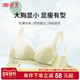 婷美蕾丝大胸显小内衣女全罩杯收副乳调整型提拉防垂聚拢文胸罩