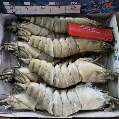 超大冷冻黑虎虾海鲜水产九节虾
