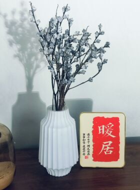 尤加利果干花真花室内客厅办公室桌面装饰品