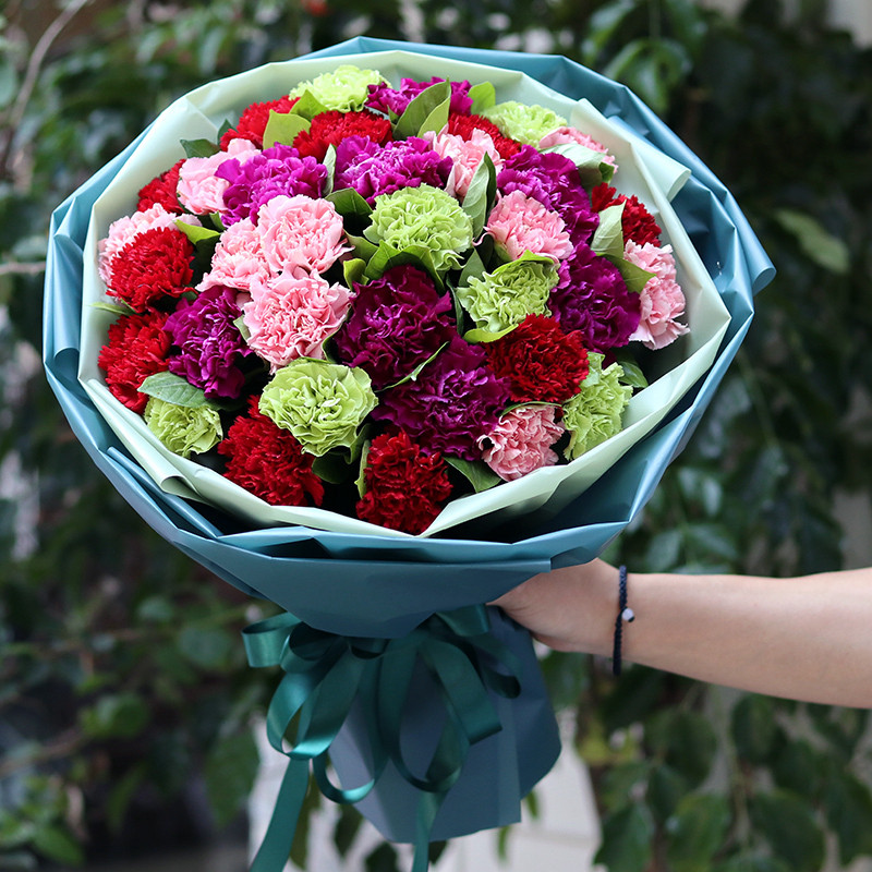 郑州鲜花康乃馨百合生日花束同城速递送妈妈洛阳信阳开封周口花店