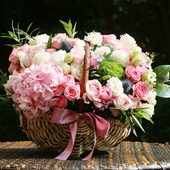 郁金香鲜花芍药玫瑰绣球混搭花蓝生日花北京广州上海深圳同城速递