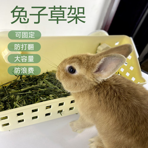 兔子草架宠物龙猫荷兰猪豚鼠大容量草筐防咬防尿牧草食盆不漏草架