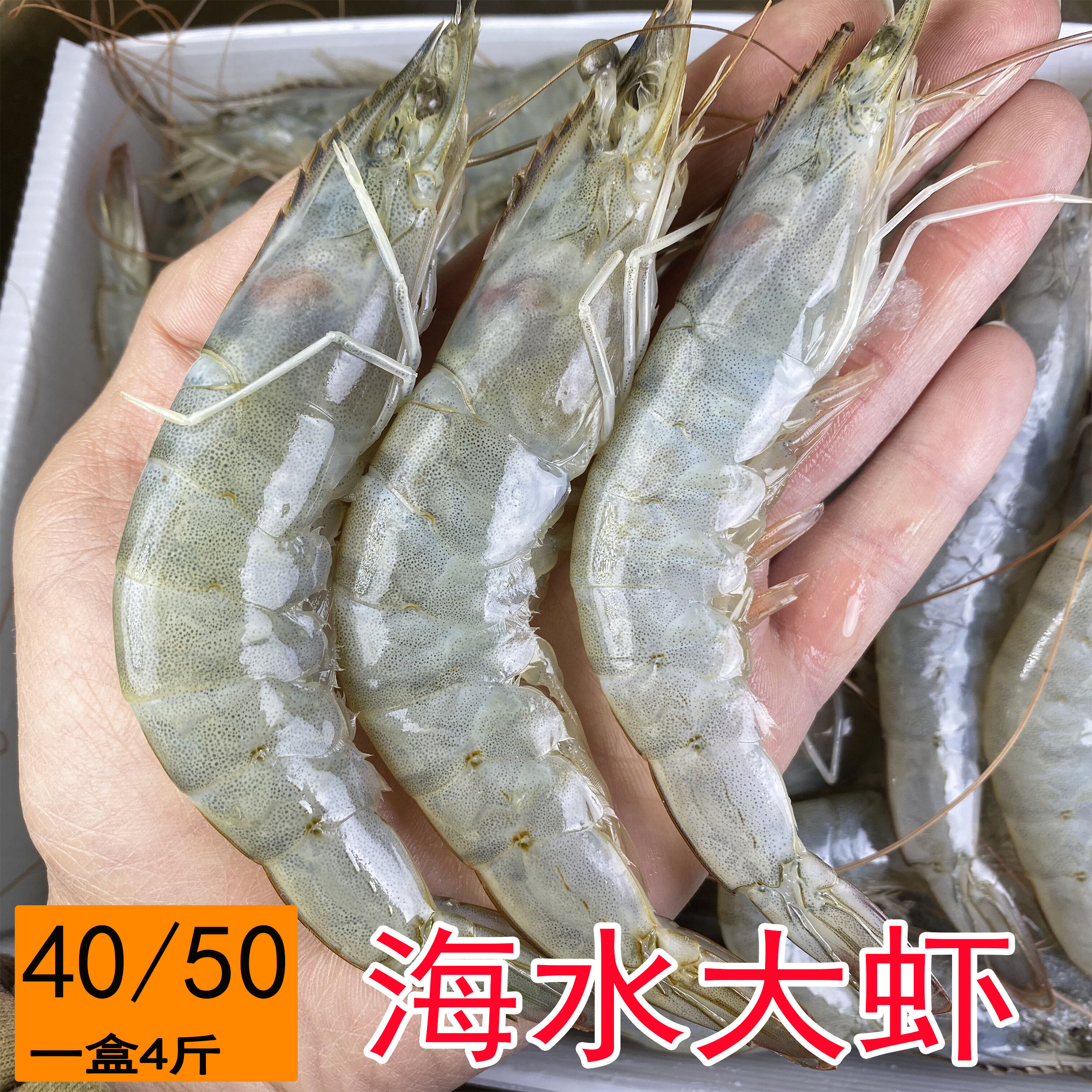 20/30鲜活冷冻海水虾海洋大虾盐冻虾南美白对虾青虾基围虾抖音款