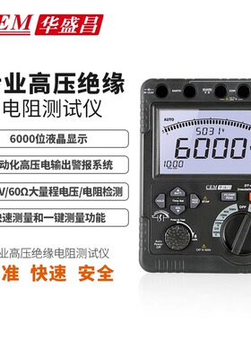 华盛昌DT-6605/6505B/6508B/6509高精度数字兆欧表绝缘电阻测试仪