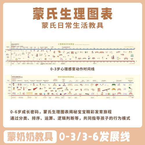 蒙氏生理图表蒙台梭利AMI 03/36幼儿心理感官动作时间线益智礼物