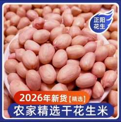 2026年新货正阳花生米生新鲜精选白沙花生果仁农家自种5斤袋装