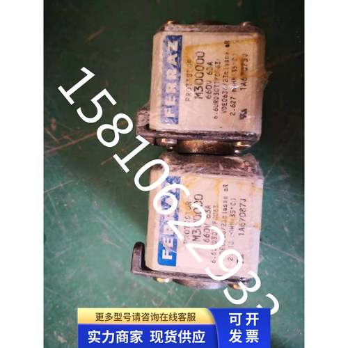 FERRAZ快熔 保险 M300000 660V 63A 二手