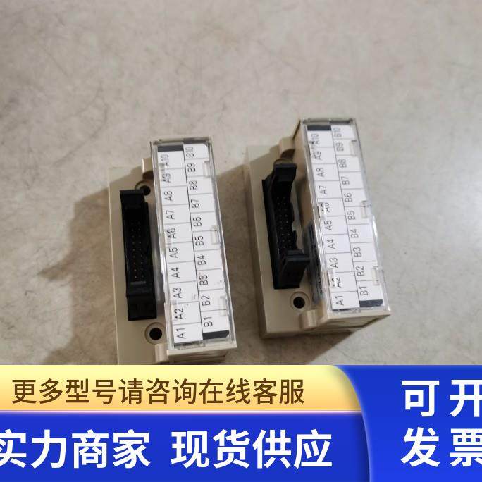 接线端子模块 XW2D-20G6 二手
