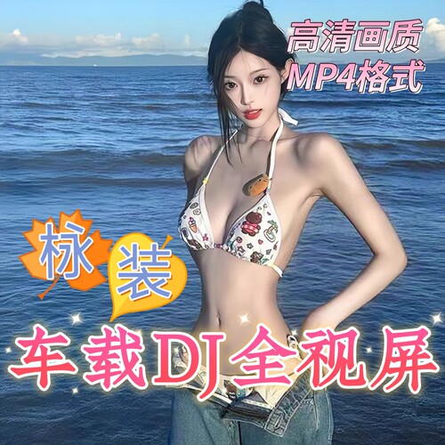 2026全视频MV舞曲车载音乐u盘
