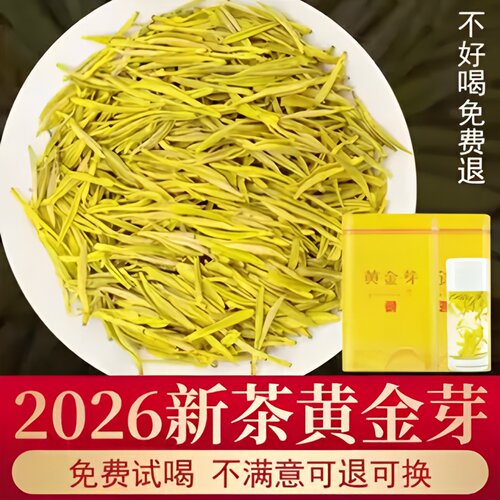 正宗黄金芽2026新茶安吉茶树白茶
