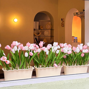 长方形波浪窄花盆阳台简约长条种花郁金香种植专用箱窗台君子兰