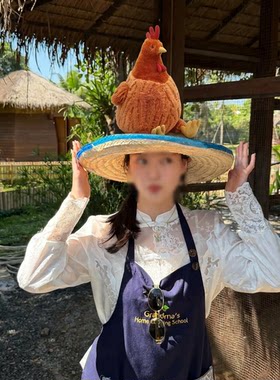 泰国胡闹厨房同款帽子仿真鸡娃娃拍照道具遮阳草帽度假风农场拍照