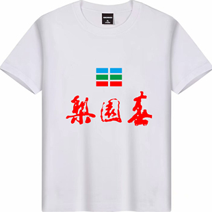 定制热门各台节目主持梨园春男女纯棉休闲工装短袖衫团体文化服装