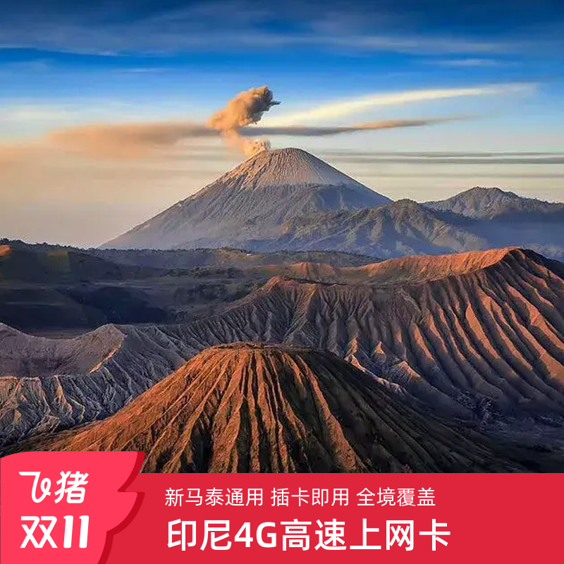 印尼Telkomsel电话卡