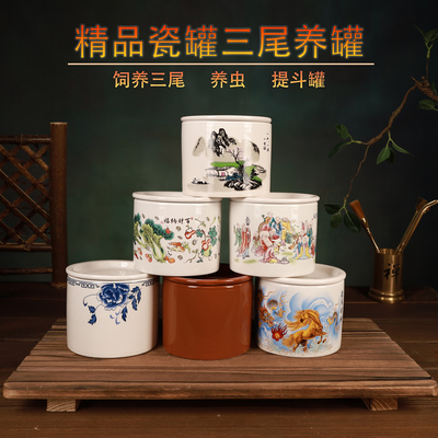 蛐蛐蟋蟀油葫芦三尾饲养瓷罐