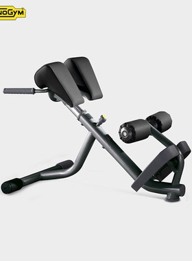 Technogym泰诺健背肌训练椅PA05