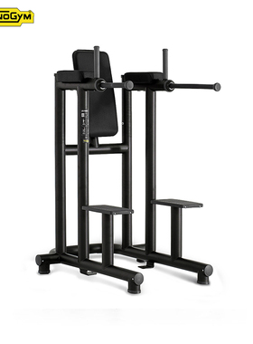 Technogym泰诺健下腹肌训练椅PA11双杠提膝抬腿收腹背肌健身 进口