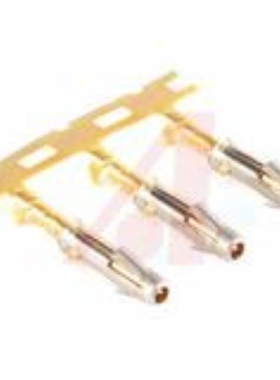 SS28W2F SS24W2F SSH-G01-002-CP-R