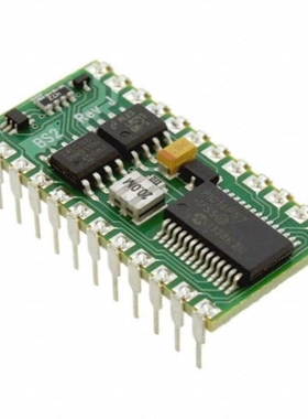 BS2P24 BS2P40 BS2-IC