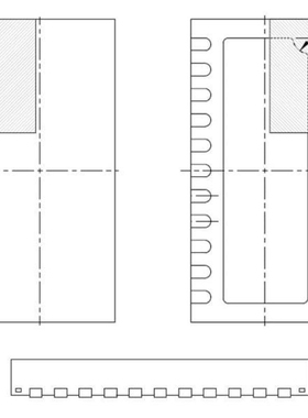 RAA2124224GNP#AA0 RAA2124224GNP#MA0 RAA2124224GNP#HA0